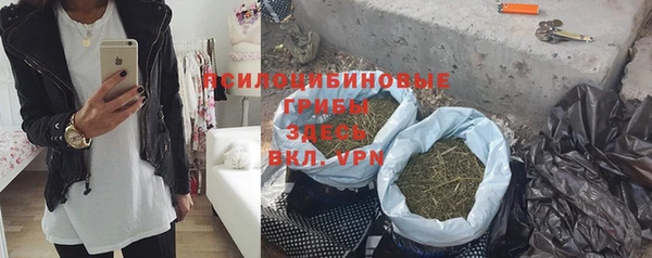 эйфоретик Инта