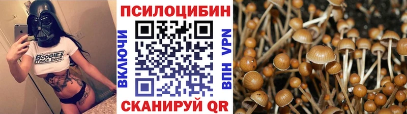 Галлюциногенные грибы мухоморы  Купить закладки  Октябрьск 